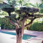 House Avenue Villa *